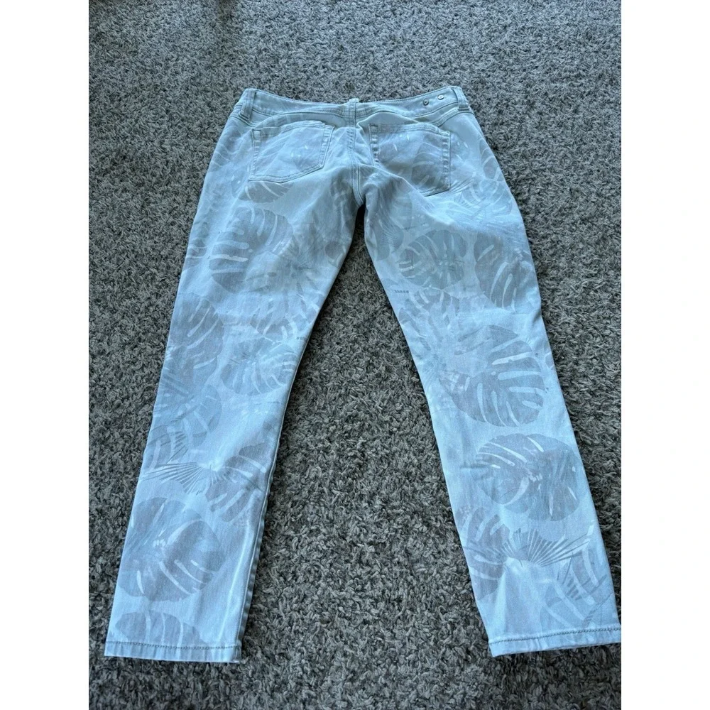 CAbi paradise palm